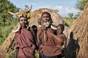 Gallery Thumbnail 12